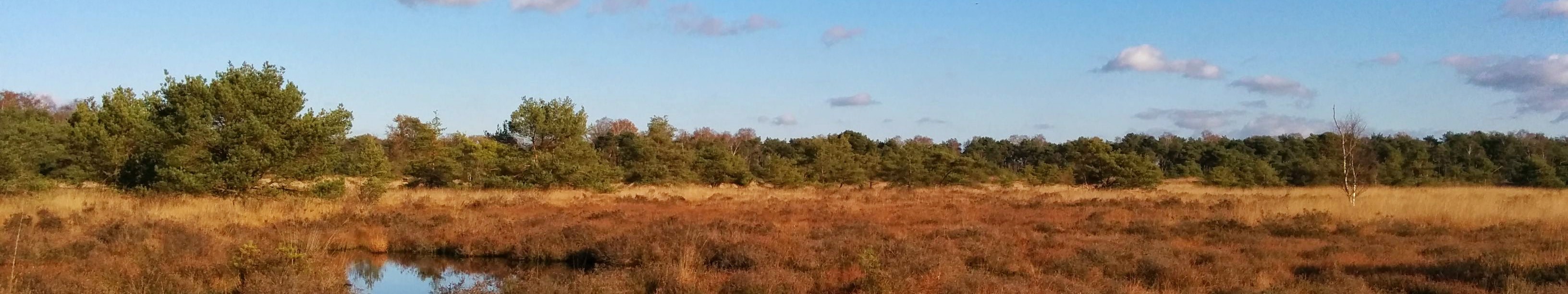 Instituut voor Natuur- en bosonderzoek
